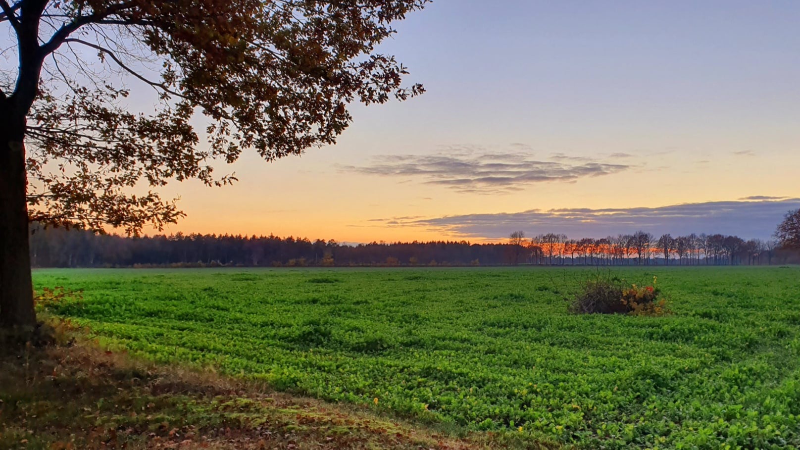 Freizeitangebote und Ausflugsziele in der Umgebung von 27419 Klein Meckelsen  bei Sittensen in Rotenburg Wümme Niedersachsen